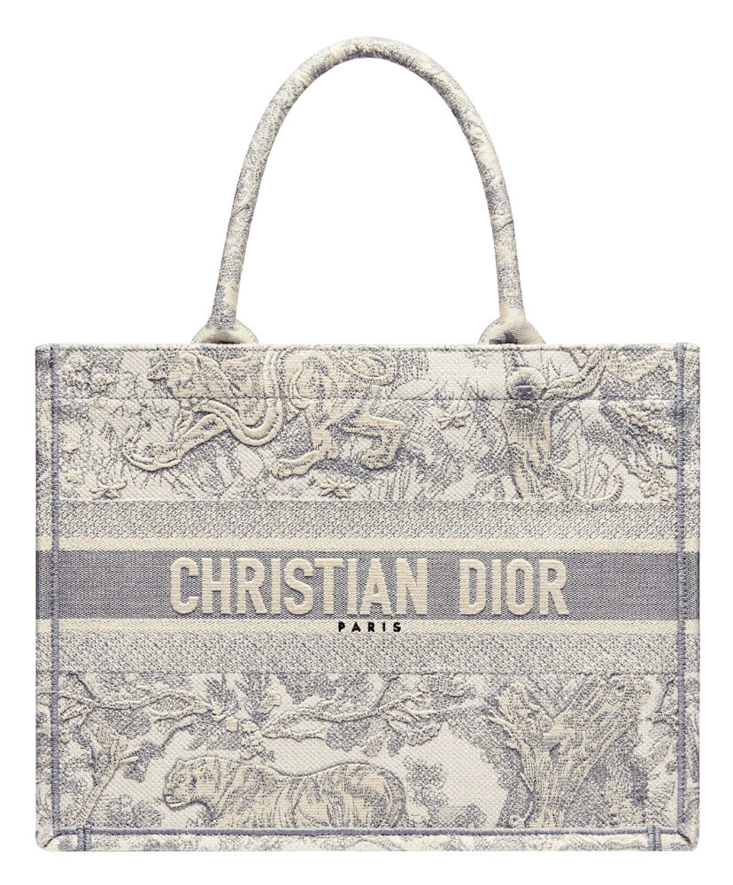 Christian Dior Book Tote Velvet Mizza Embroidery Canvas Grey